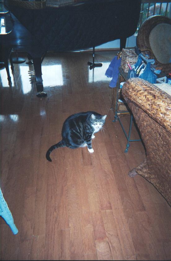 click for larger size