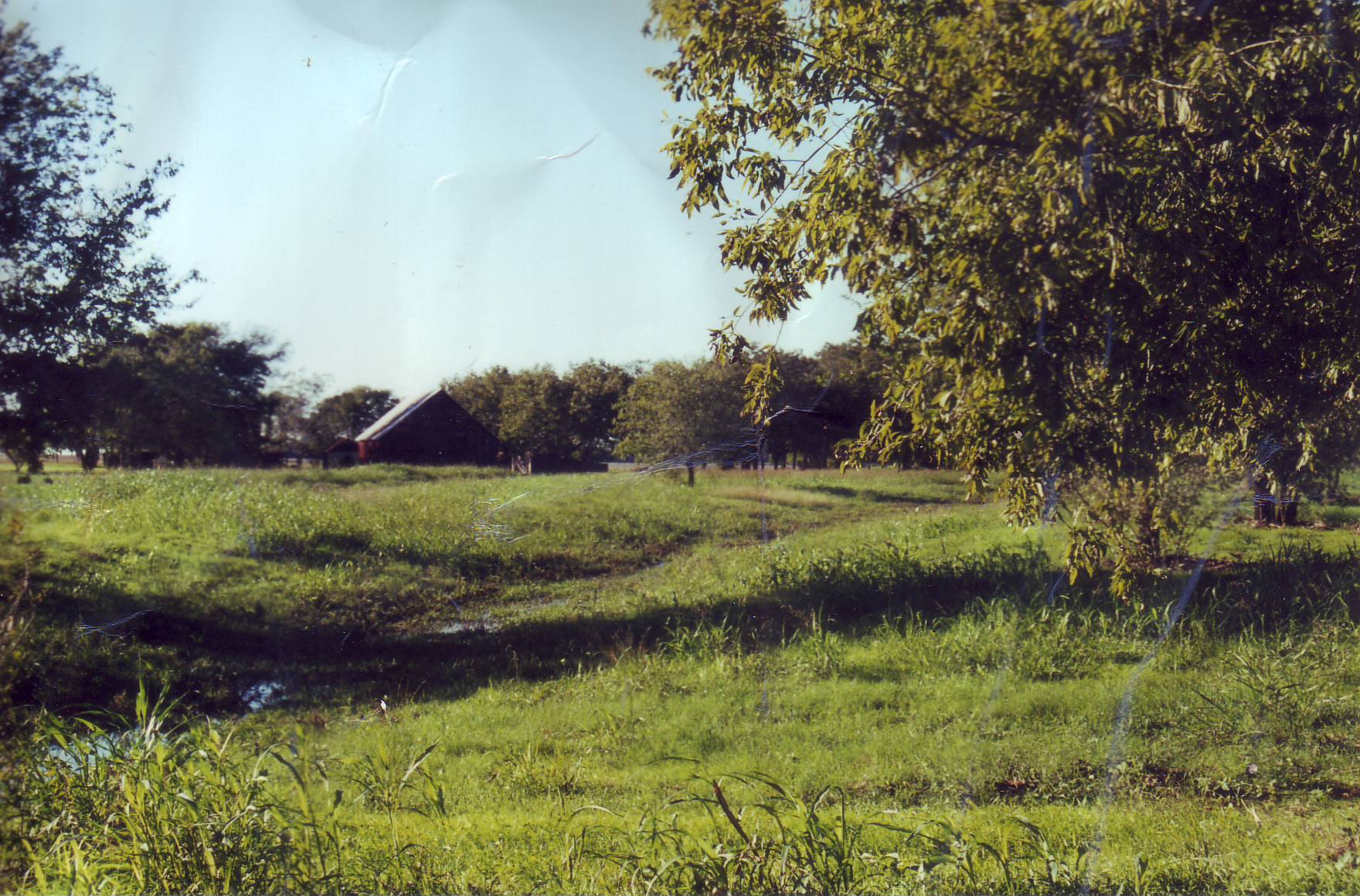 click for larger size