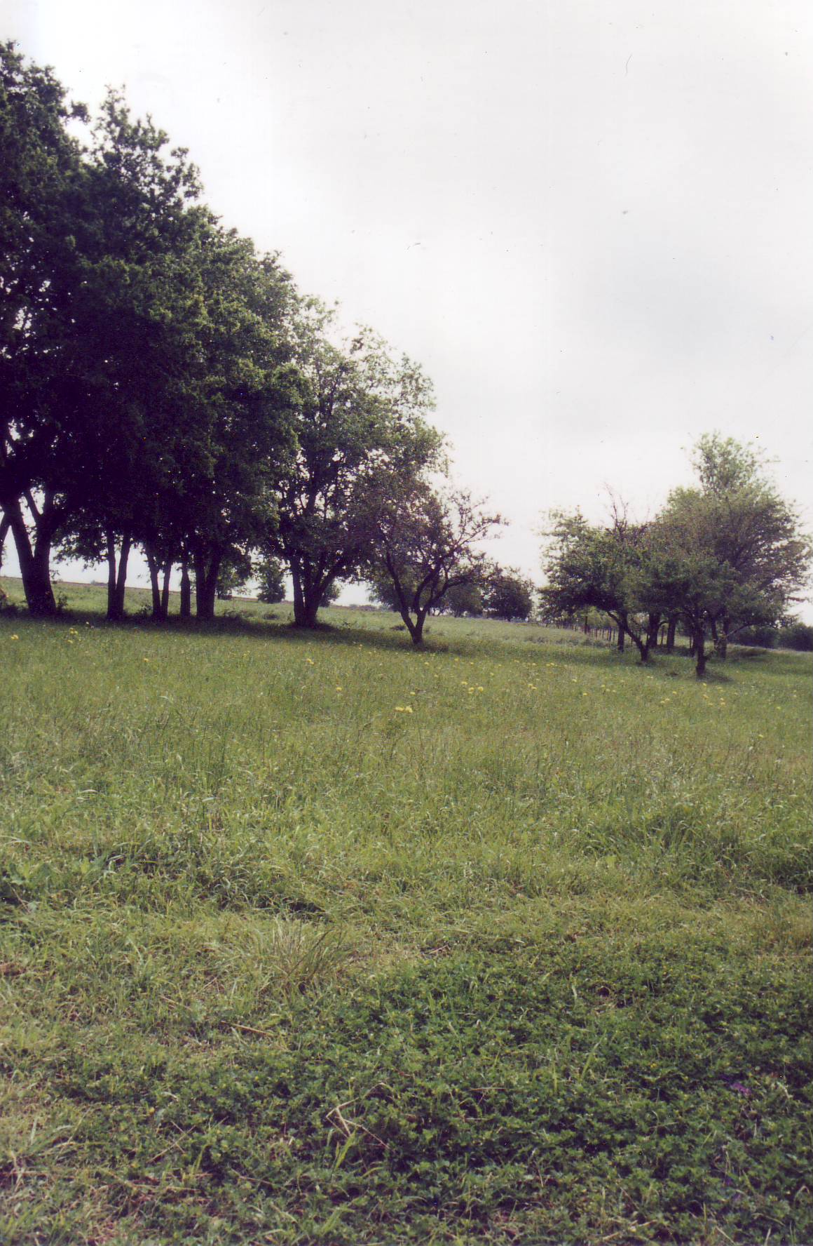 click for larger size