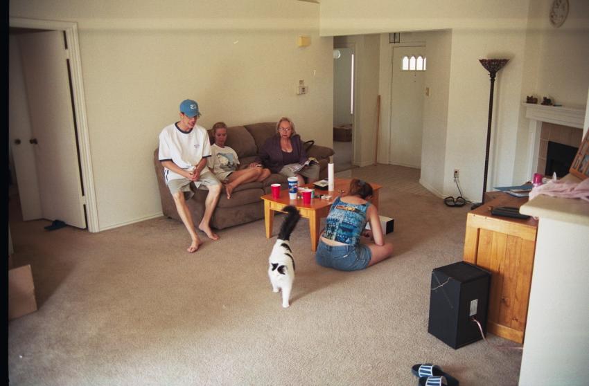 click for larger size