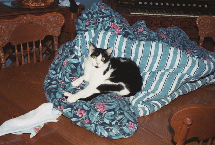 click for larger size