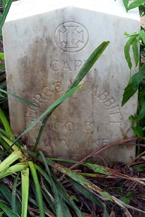 click for larger size