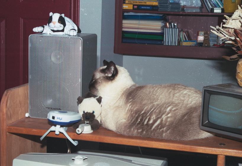 click for larger size