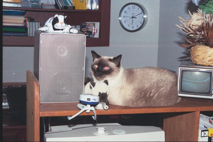 click for larger size