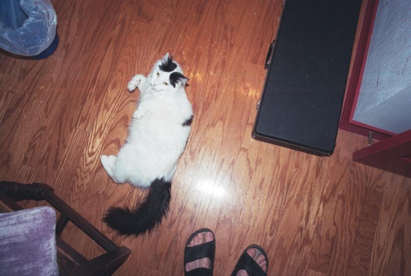 click for larger size