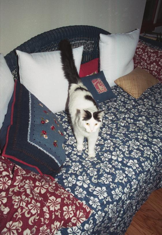 click for larger size