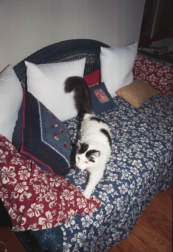 click for larger size