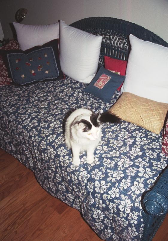 click for larger size