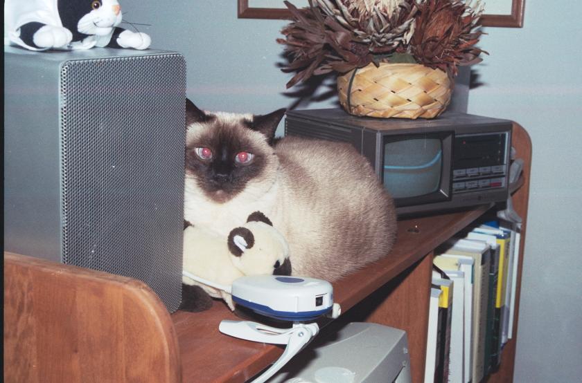 click for larger size