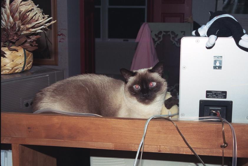 click for larger size