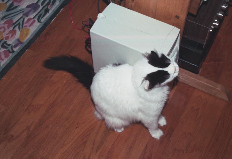 click for larger size