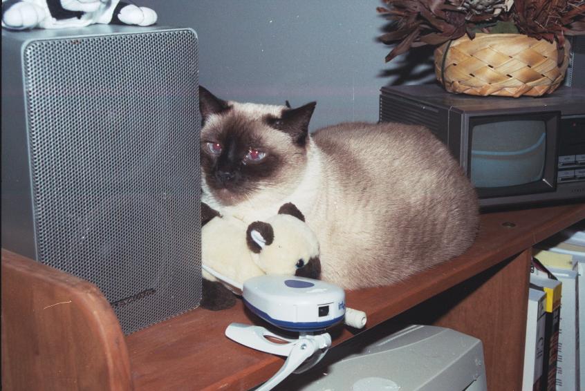 click for larger size