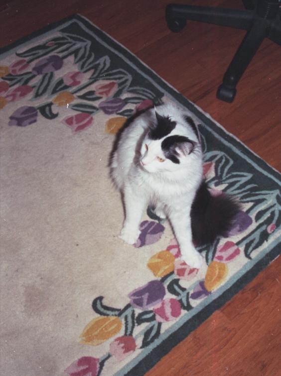 click for larger size