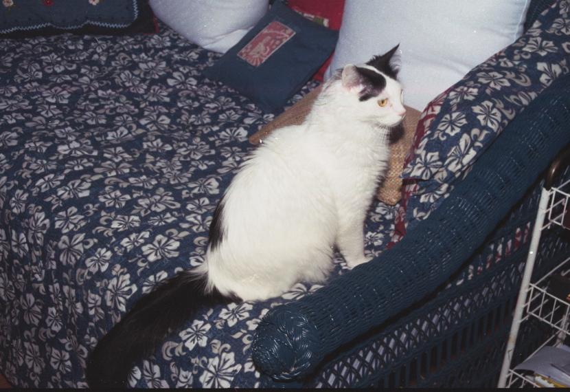 click for larger size