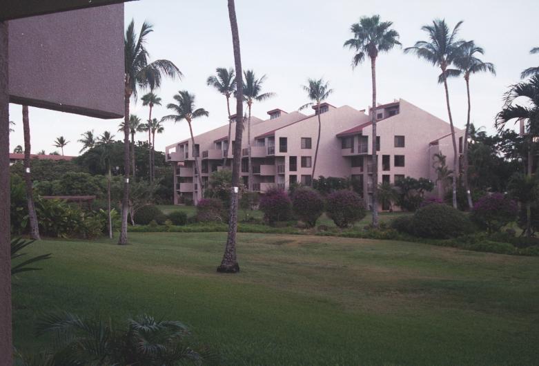 click for larger size