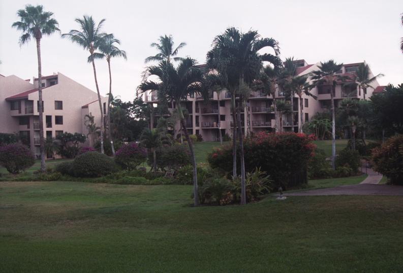 click for larger size