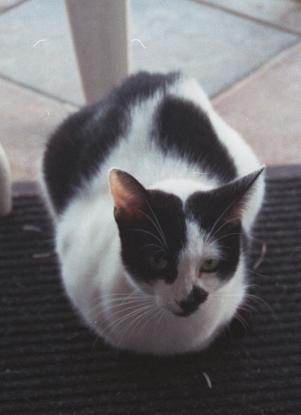 click for larger size