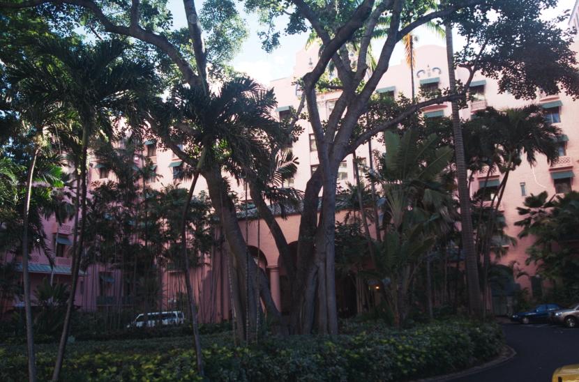 click for larger size