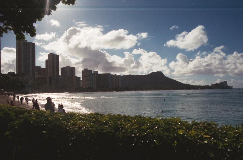 click for larger size