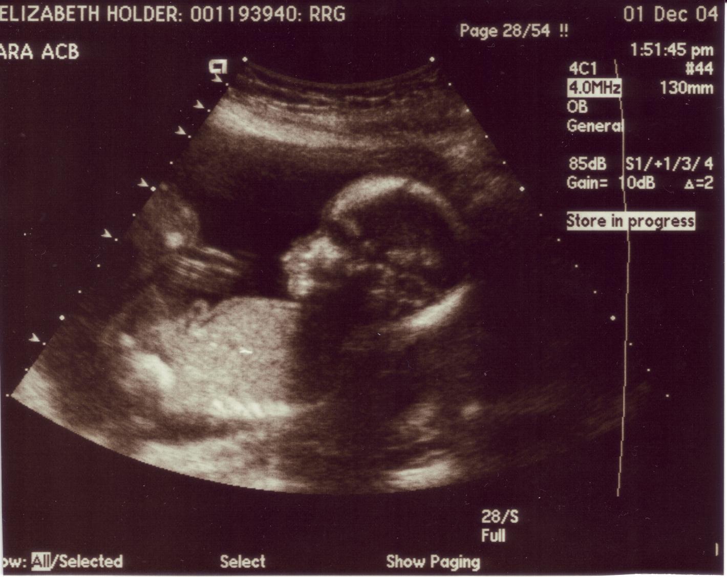 click for larger size