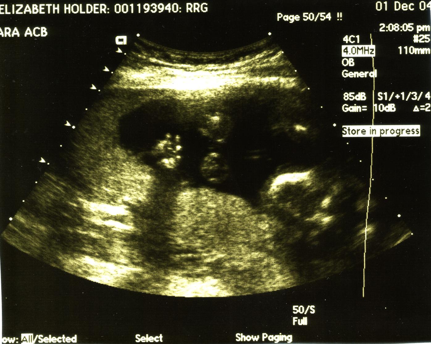 click for larger size