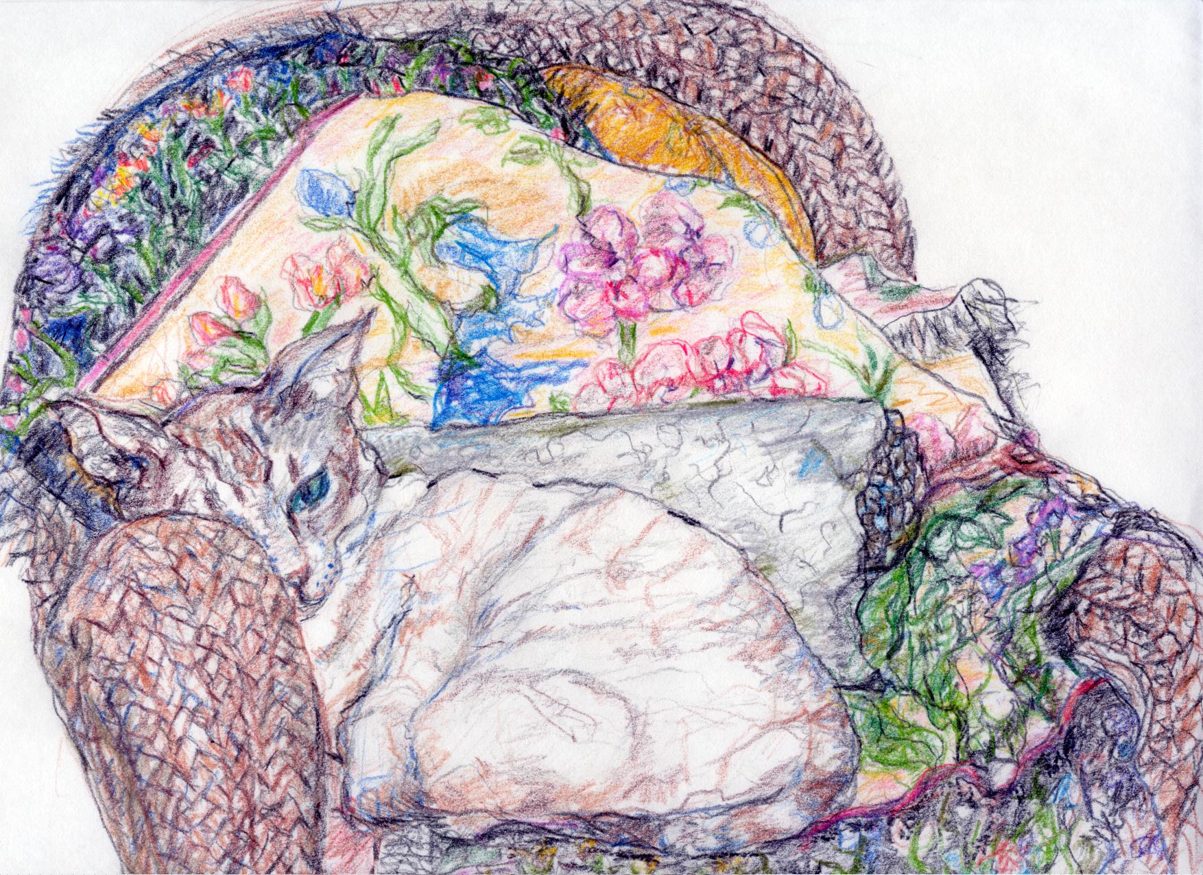 click for larger size