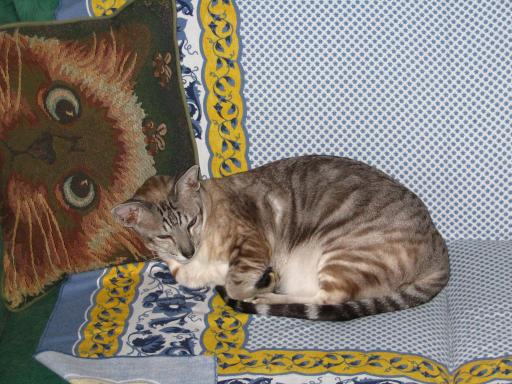 click for larger size