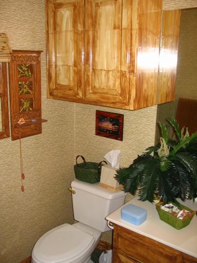 click for larger size