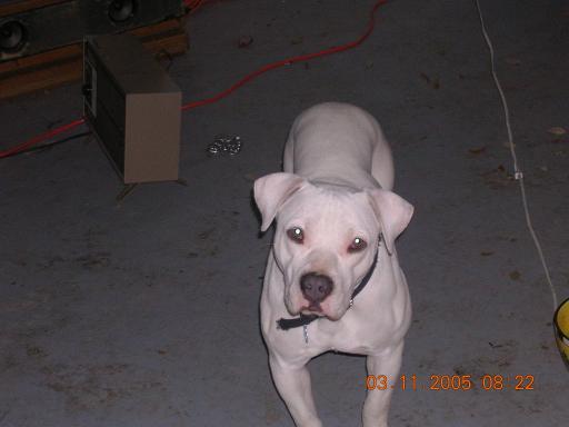 click for larger size