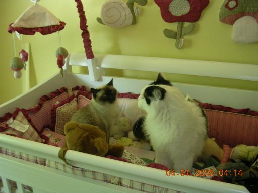 click for larger size