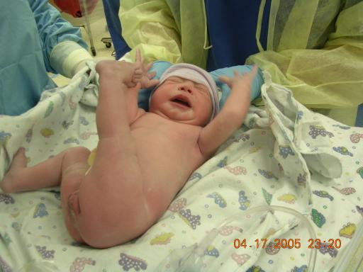 click for larger size