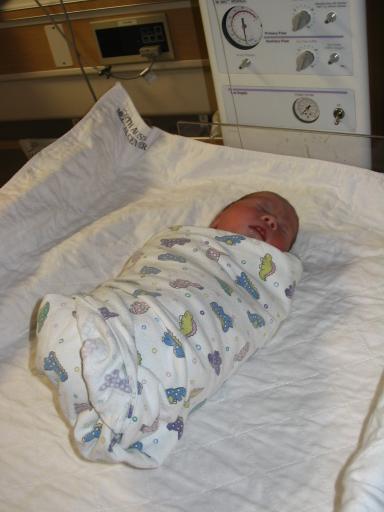 click for larger size