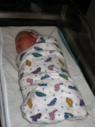 click for larger size