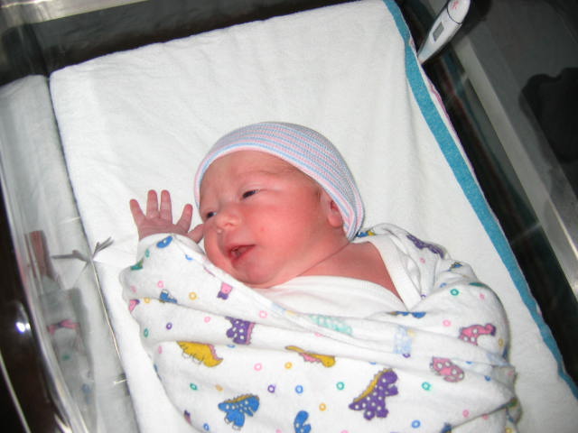 click for larger size