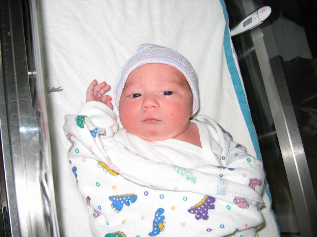 click for larger size