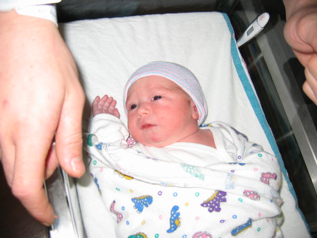 click for larger size