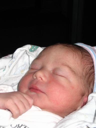 click for larger size