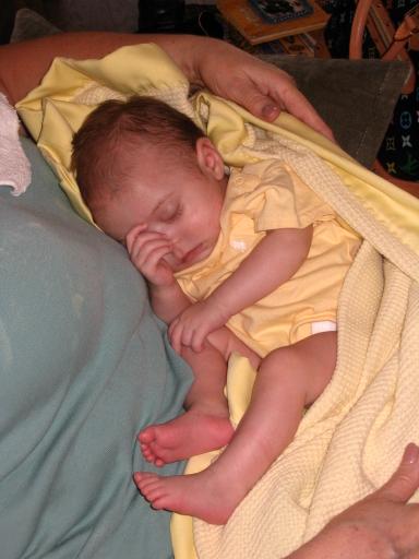 click for larger size