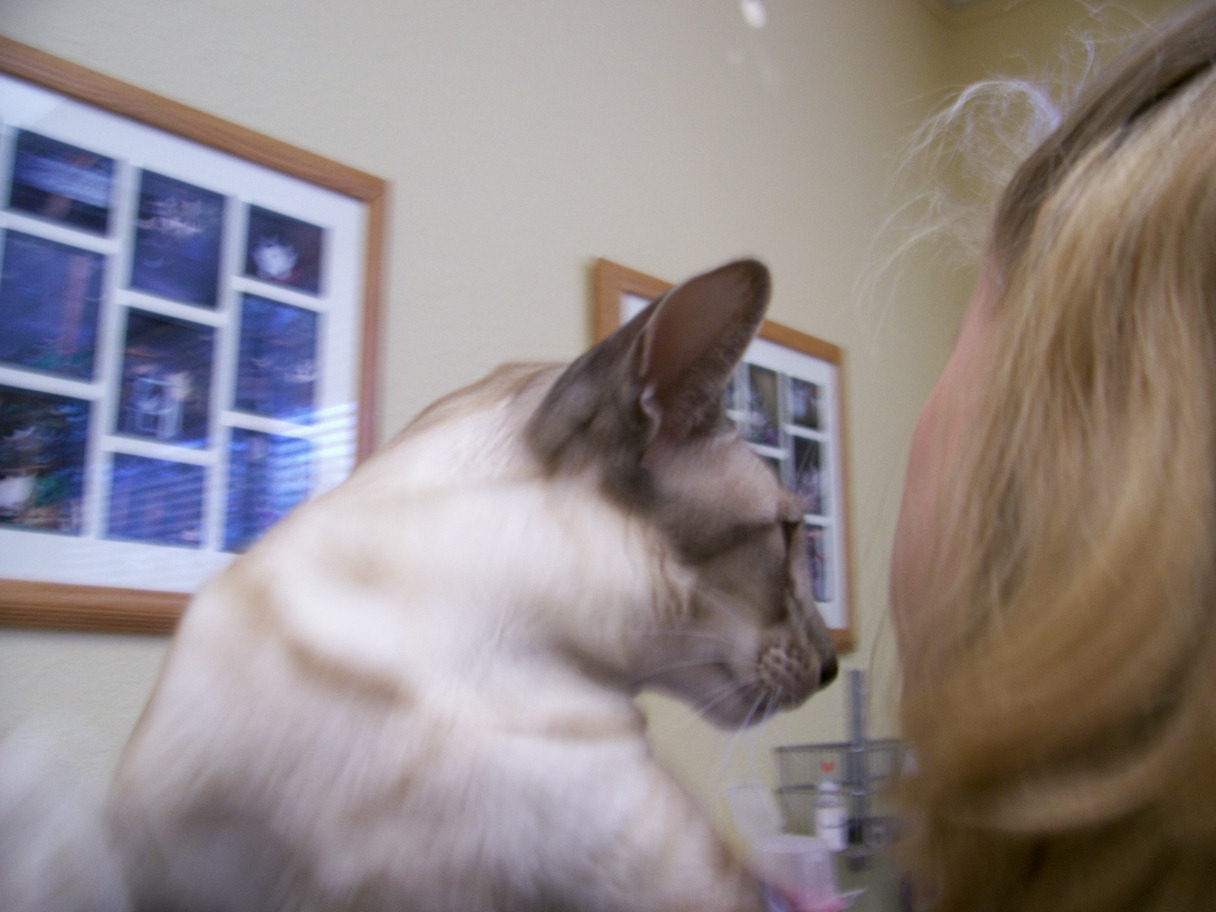 click for larger size