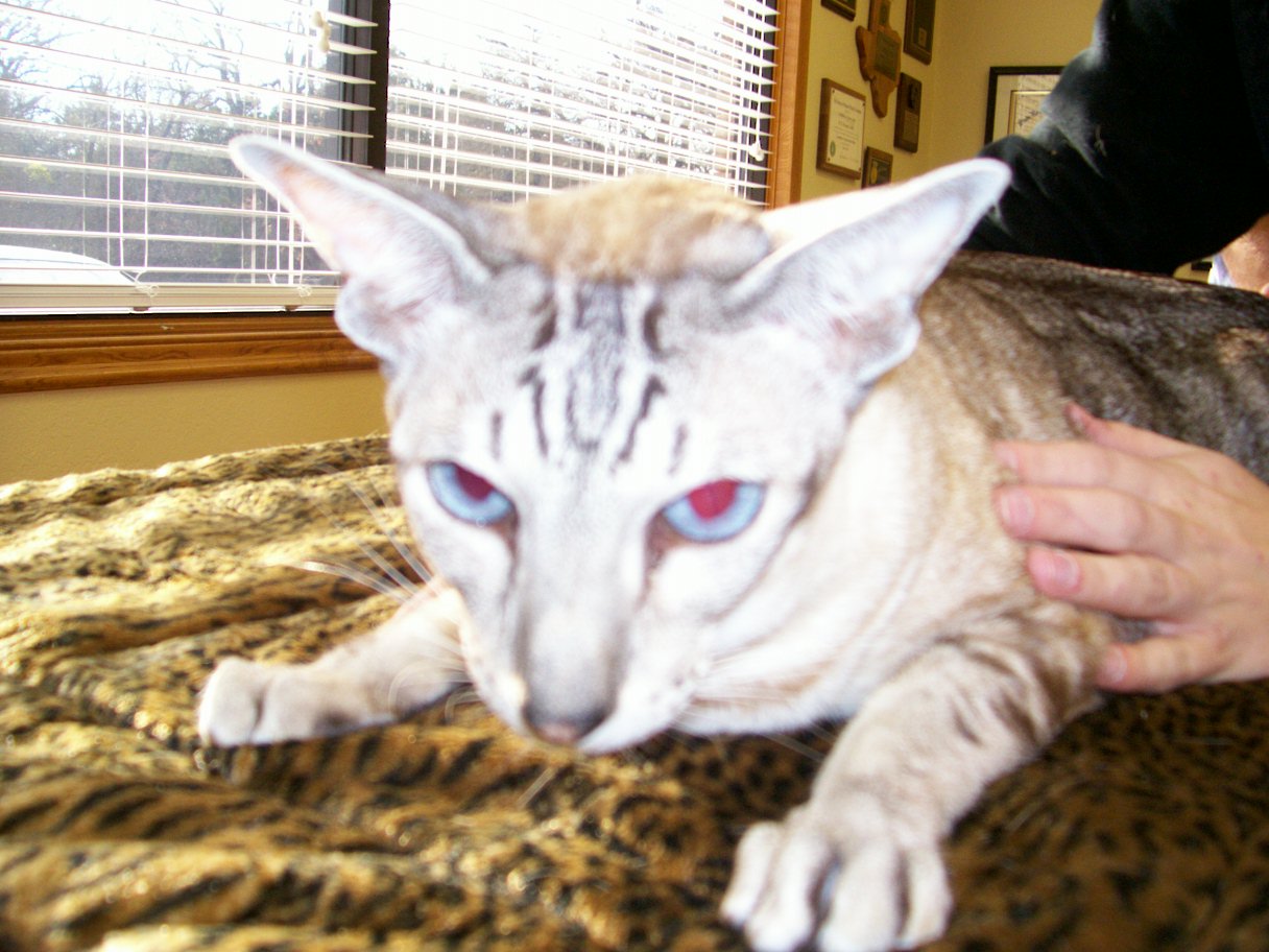 click for larger size