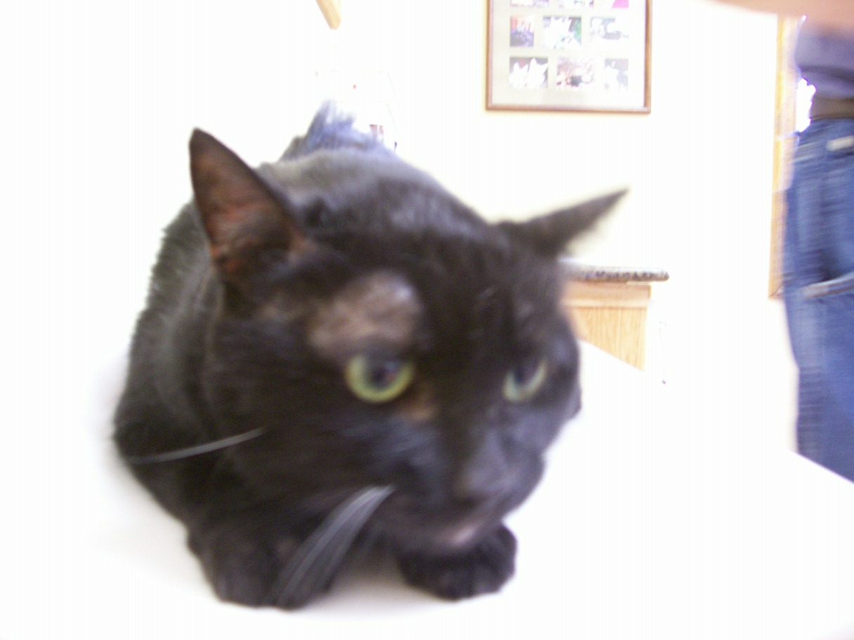 click for larger size