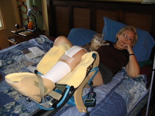 click for larger size