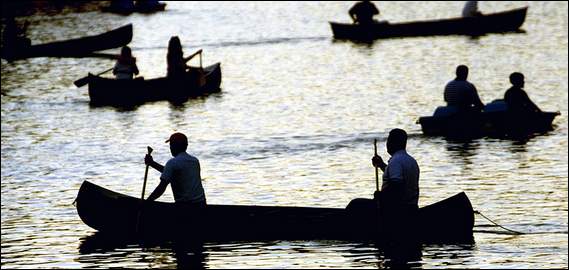 click for larger size