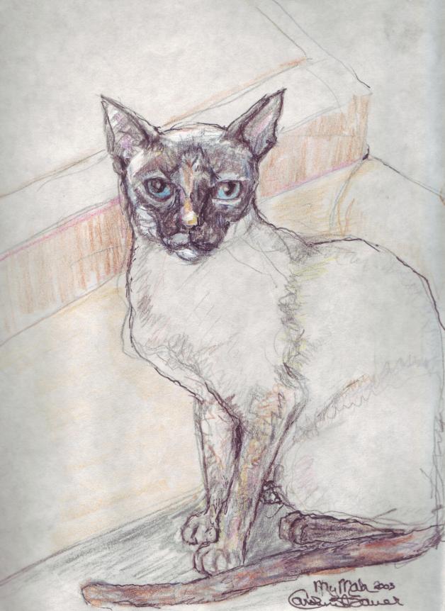 click for larger size