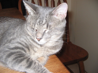 click for larger size