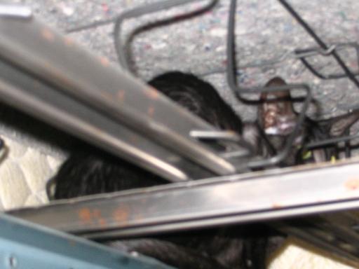 click for larger size