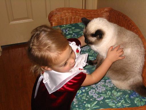 click for larger size