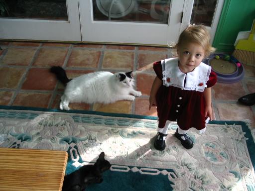 click for larger size