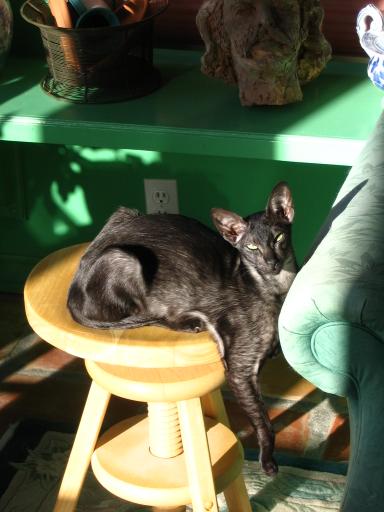 click for larger size