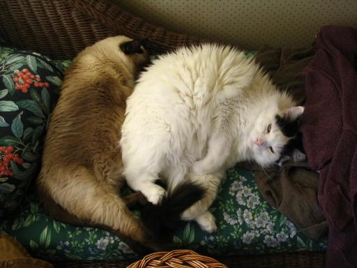 click for larger size